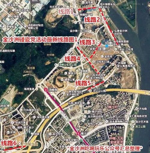 金沙洲爆料新闻事件最新,最新事件引发社会关注